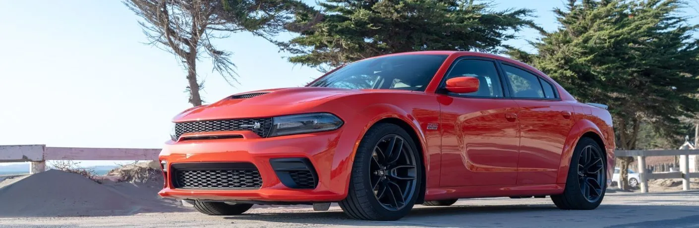 2020 Dodge Charger in Little Valley, NY